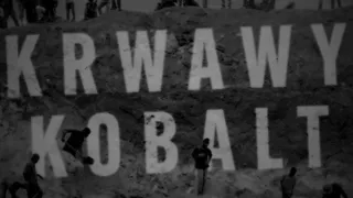 Ta książka to nasz wyrzut sumienia